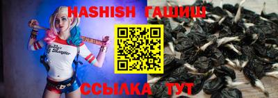 мдпв Аргун